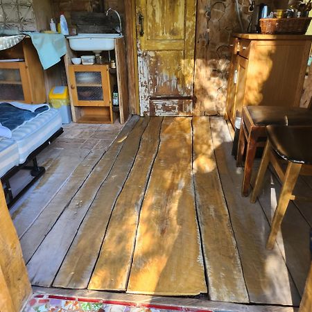 Baltas Raganinas Pirts Villa Sabile Ngoại thất bức ảnh